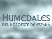 Humedales del noroeste de España